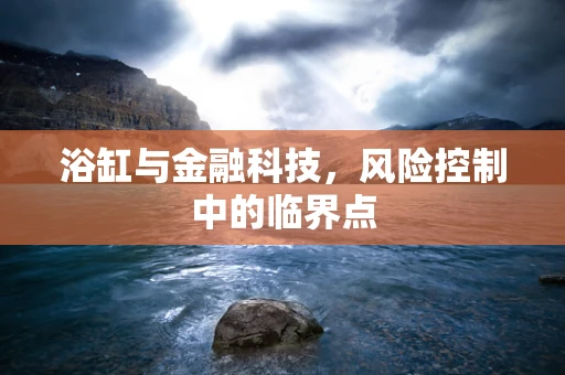浴缸与金融科技，风险控制中的临界点