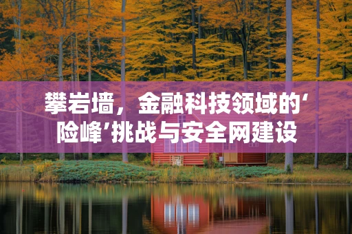 攀岩墙，金融科技领域的‘险峰’挑战与安全网建设