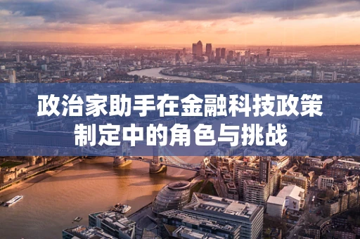 政治家助手在金融科技政策制定中的角色与挑战