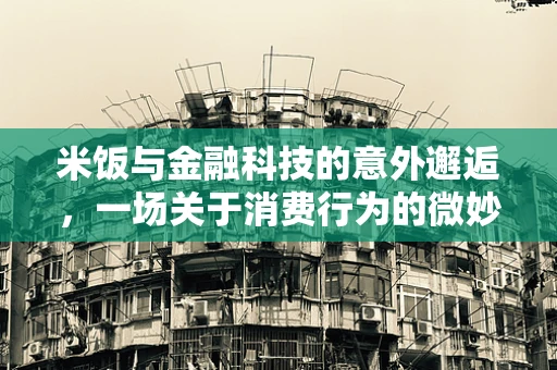 米饭与金融科技的意外邂逅，一场关于消费行为的微妙分析