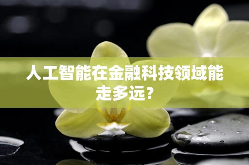 人工智能在金融科技领域能走多远？