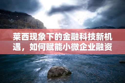 莱西现象下的金融科技新机遇，如何赋能小微企业融资？
