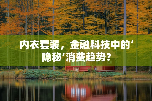 内衣套装，金融科技中的‘隐秘’消费趋势？