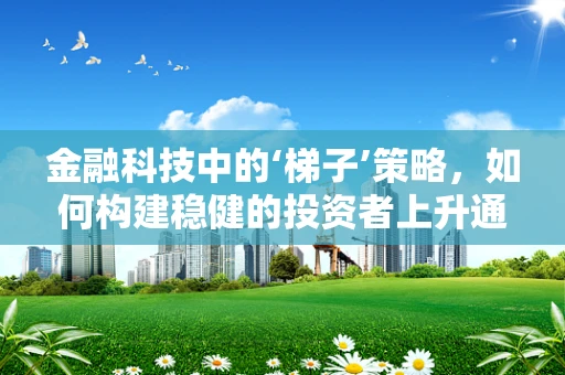 金融科技中的‘梯子’策略，如何构建稳健的投资者上升通道？