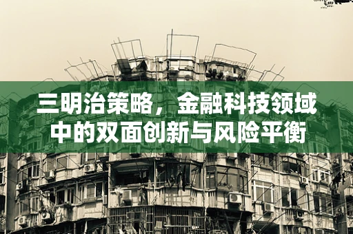 三明治策略，金融科技领域中的双面创新与风险平衡